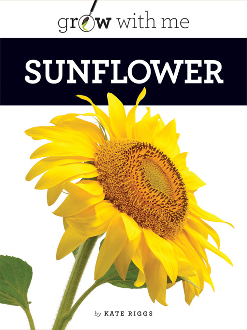 Title details for Sunflower by Kate Riggs - Available